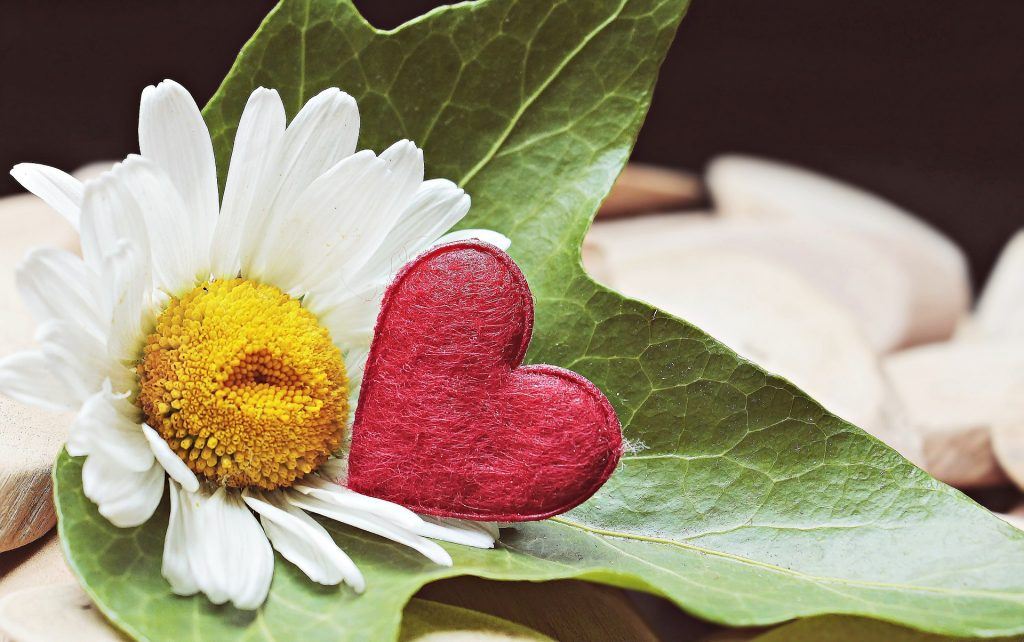 marguerite-2380664_1920 Make This Valentine’s Day “More Me, Less You!”
