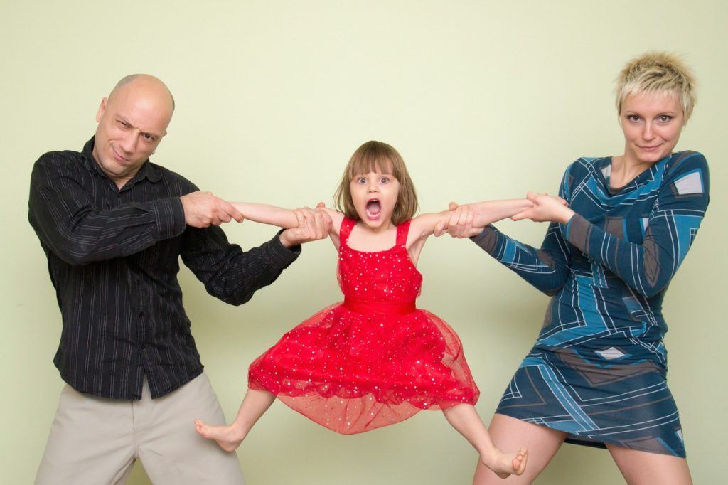 Fight over child Parental Alienation